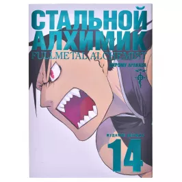 Стальной Алхимик. Книга 14 картинка 347227 - МосИгра